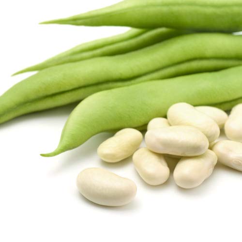 Creative Farmer Vegetable Seeds Runner Bean Seeds - French Bean Seeds Tender For Gardening Home Garden Seeds (B07N47S8Z5) Amazon Price History, Amazon Price Tracker