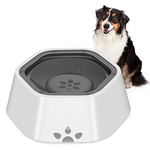 slow drinker for dogs