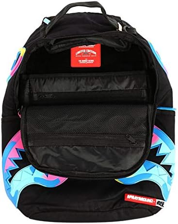 jake paul sprayground