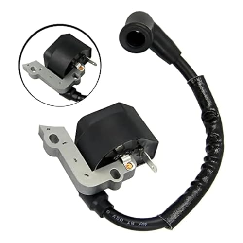 Bobine d'allumage OEM 4229 400 1300 pour BG55
