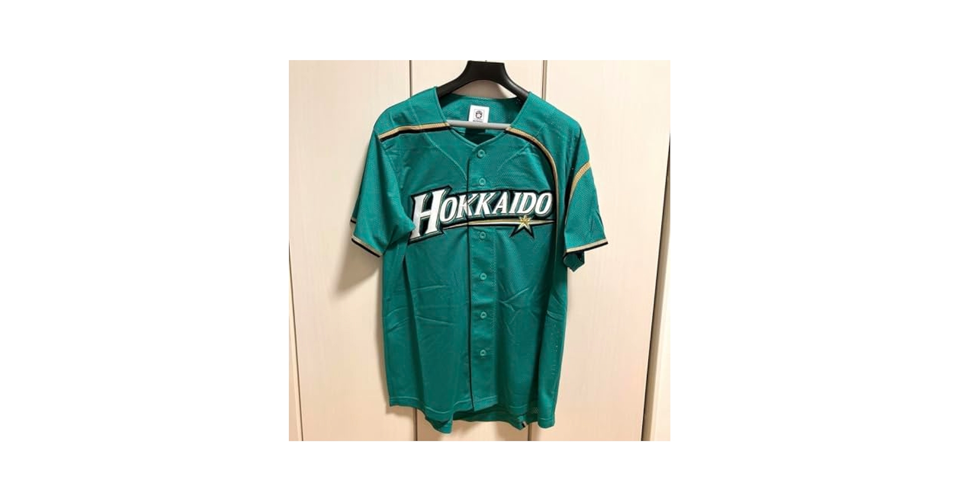 Amazon.co.jp: 日本ハムファイターズ 2019年 WE LOVE HOKKAIDO