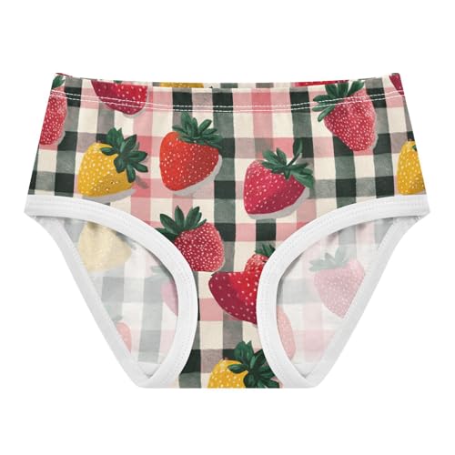 Wusikd Gingham Strawberries Girls' Underwear Cotton Girls Briefs Soft Toddler Underwear 2T