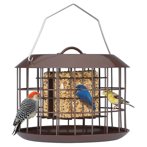 Kingsyard Squirrel Proof Suet Feeder Cover