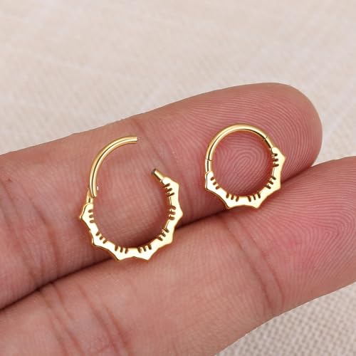 MissNity 16G Clicker Rings 316L Surgical Steel Hinged Hoops for Septum, Daith and Cartilage Earlobe Piercings Jewelry, Diameter 8mm, 10mm4