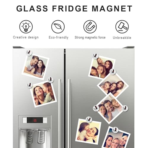 Aimants Berger Australien pour frigo et tableau blanc de bureau - 6