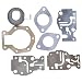 Evinrude/Johnson Kit Ay, Carb Repair 439073