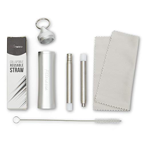 Collapsible Stainless Steel Straw with Travel Case (Silver)