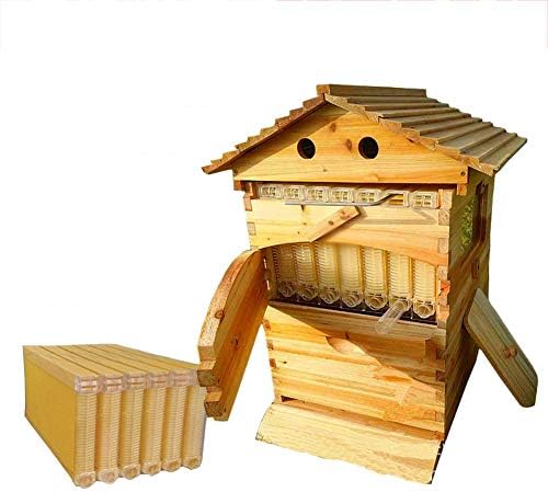 TANCEQI Beekeeping Wooden House Beehive Boxes Auto Frame Comb Bee Hive for Beekeepers Frames Cedarwood Brood Supplies Keeper Complete Box Kit