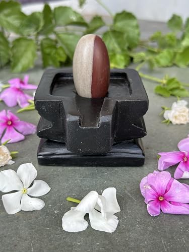 Image of Shivam VASTU AKAL 1.5 inch Original Narmadeshwar Narmada Shivling with 3 inch Narmada Stone Yoni Base Jaladhari (Ardhanarishwar Shivling, Black Square Jaladhari)