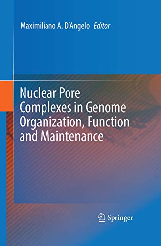 Nuclear Pore Complexes in Genome Organization, Function and Maintenance view 2