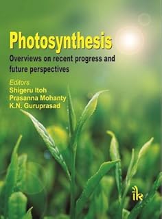 Photosynthesis: Overviews on recent progress and future perspect