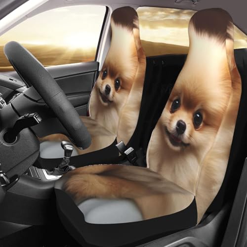 Housses de siège de voiture respirantes lavables, lot de 2 anti-taches motif Poméranie
