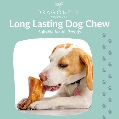 Dragonfly Products Pigs Ears For Dogs | 5 Large Pieces | British Whole Pork Ear Chew | Natural Raw Healthy Treat | Grain Free Long Lasting Snack