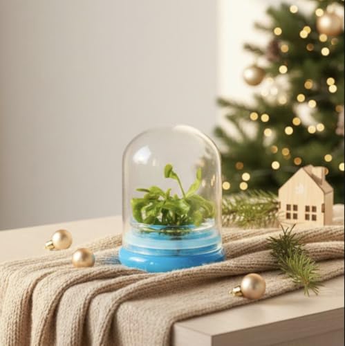 Venus Fly Trap in Glass Jar