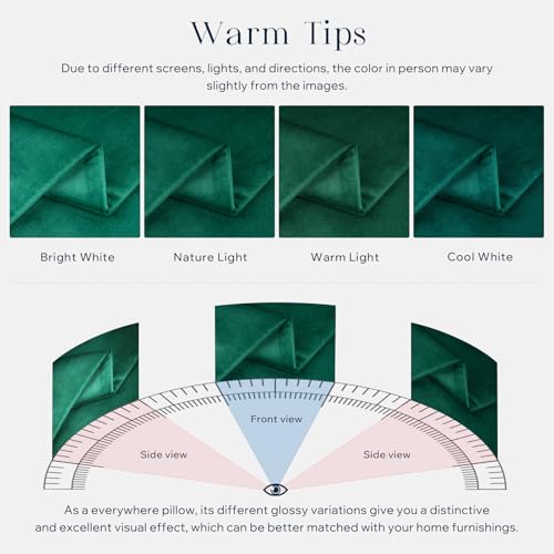 Phantoscope Pack of 2 Christmas Velvet Decorative Throw Decorative Pillow Cover Soft Solid Square Cushion Case for Couch Christmas Green 18 x 18 inches 45 x 45 cm