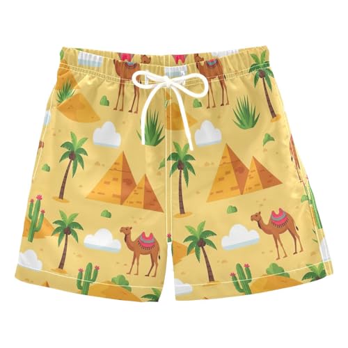 RPLIFE Pantalones cortos de natación para niños, antirozaduras, 2 T, camellos, Camellos, 24 meses
