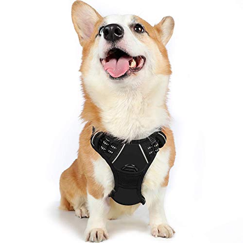 rabbitgoo Dog Harness, No-Pull Pet Harness with 2 Leash Clips, Adjustable Soft...