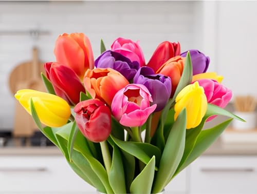 Image of Stargazer Barn 15 Stem Rainbow Tulips Bouquet - Fresh Cut Flower Delivery, Hand-Tied in the USA, Gift for Birthday, Anniversary, Sympathy or Home Decor - Vase Not Included