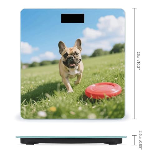 Balanza digital para baño 180 kg con pantalla LCD miniatura 2