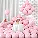 Luftballons Pastell, 100 Stück Macaron Rosa Luftballons Latex Farbige Ballons, Macaron Bunt Luftballons Pastellfarben für Geburtstagsfeier Babyparty, Hochzeit, Verlobungsfeier Party Deko (Rosa)
