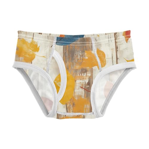 KLL Autumn Leaf on Old White Wooden Baby Boys Comfort Underwear Breathable Undies