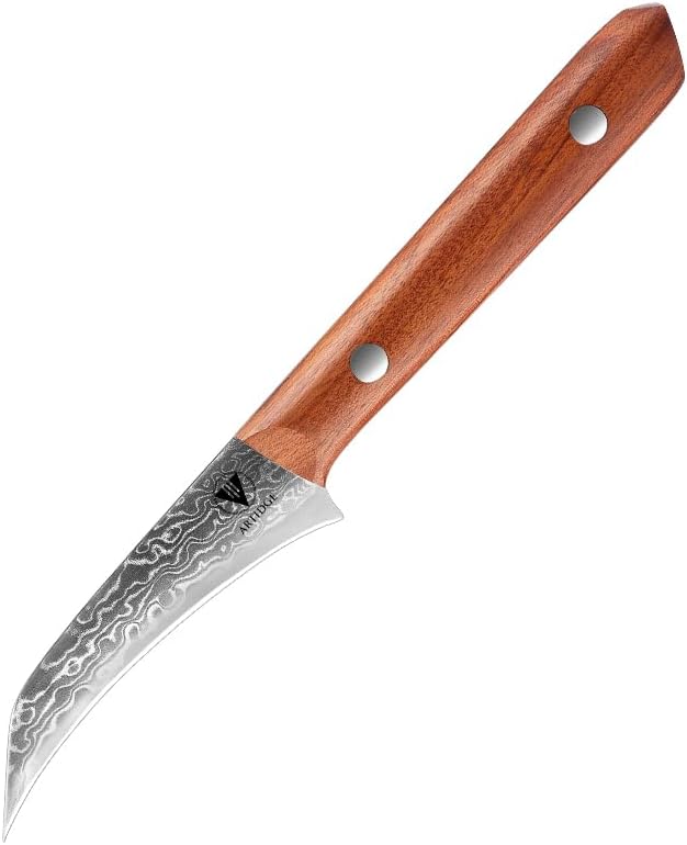 Cuchillo de cocina de 3.5 pulgadas, cuchillo de chef de cáscara de acero de damasco, cuchillo forjado de 67 capas para frutasverduras con mango de
