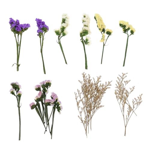 Flores secas para velas flotantes y centros de mesa