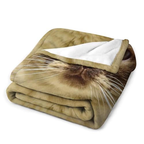 Couverture gros chat mignon pour canapé plaid polaire chaud salon