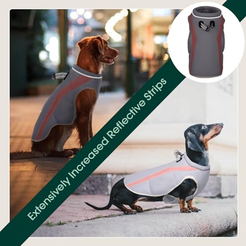 Kuoser Kühlweste für Hunde, Einstellbar & Reflektierender Kühlweste Hund für Heißen Sommertag, Sonnenschutz Hunde Kühlweste Kühl Hund für Outdoor Aktivitäten Wandern Spaziergang