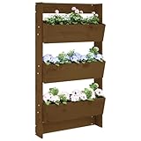 LAPOOH Jardinera Pared 3 Niveles Madera Pino marrón Miel 60x18,5x110cm, Huerto Urbano Terraza, Jardineras Exterior, Jardineria Maceteros, Mesa De Cultivo, Huerto En Casa - 825117