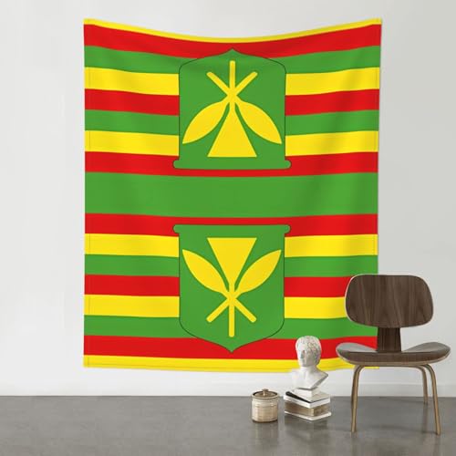 Tapisserie imprimée drapeau hawaïen BLWSLC décoration de chambre