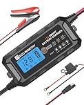 ECO-WORTHY 12V 5A Lithium LiFePO4 Battery Charger (UK Plug) Automatic Smart and Maintainer with LCD Display for Lead Acid and Lithium (LiFePO4) Battery Scooter