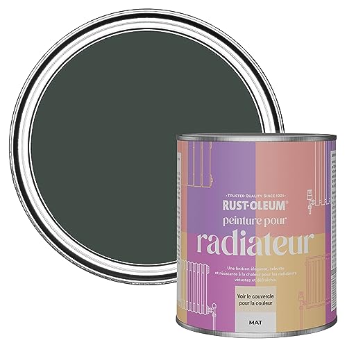Rust-Oleum Peinture Verte Résistante à la chaleur pour Radiateur, Finition Mate - After Dark 750ml