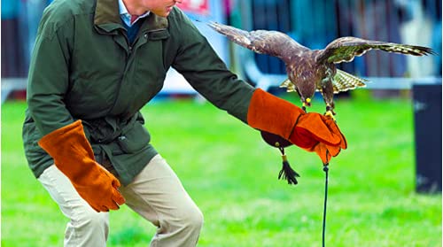 Gotoone Welding Gloves Bite Proof Glove (1 Pair) 16 Inch Leather Reinforced For Gardening Work Animal Handling Dog Cat Scratch (Brown) #TOP5