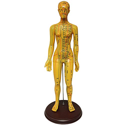 ���m���C�t �l�̖͌^ �c�{ �j�� �I���o���͌^ �o�� ���f�� ���� �}�b�T�[�W �w�K�p 52.5cm ���� �n�[�h �^�C�v