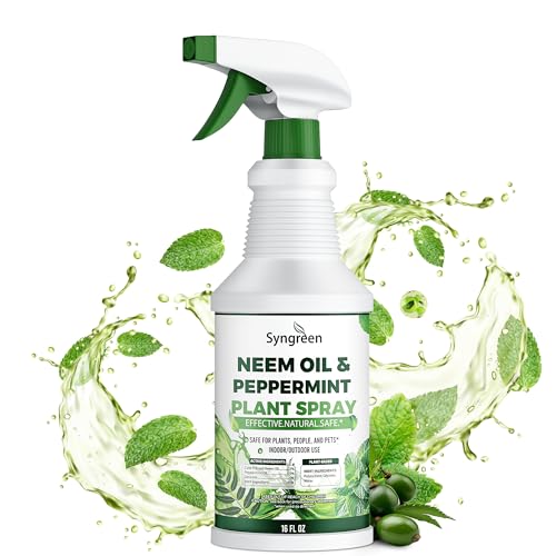 Syngreen Neem Oil Spray for Plants with Peppermint &ndash; Gentle Leaf Maintenance for Indoor and...