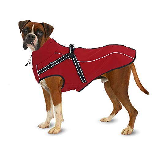 Find The Best Dog Jackets For Boxers Reviews & Comparison Katynel