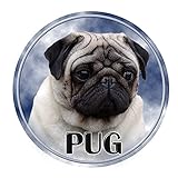 Xinyuwz autoaufkleber Gestanzte Vinyl-Aufkleber, 40557#, wasserdichter Karate-Aufkleber, Autodekoration, Autostoßstange, Heckscheibe