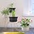 NNARRE 6 Pack 10 inch Plant Pot, Round Plastic Plant Pots, Outdoor Pots for Plants with Drainage Hole & Tray Saucer, Decoration Flower Pots for Indoor Plants Home Garden Outdoor Planters (Grey)