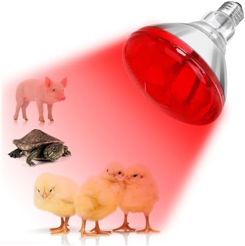 DaToo Infrared Heat Lamp Bulb for Chickens Red Heat Lamp Flood Light Heat Lamp Bulb 150 W Heating Bulbs for Brooder Coops Pets Chicks Reptiles Food Service (1 Pack)
