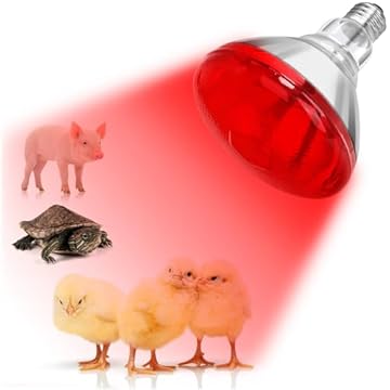 best heat lamp for chicks