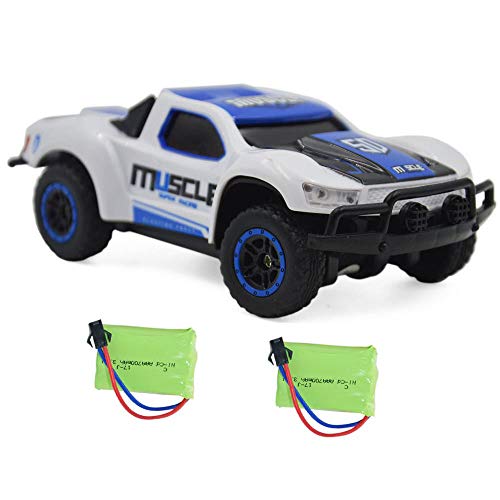 Blomiky 9 MPH High Speed Race RC Car 4WD 1:43 Scale 2.4G 4WD