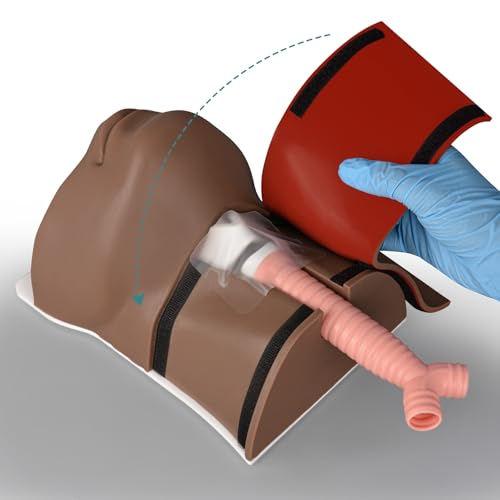 Image of Cricothyrotomy Task Trainer, Cricothyrotomy Simulator Cricothyrotomy and Tracheostomy Trainer - Dark Skin