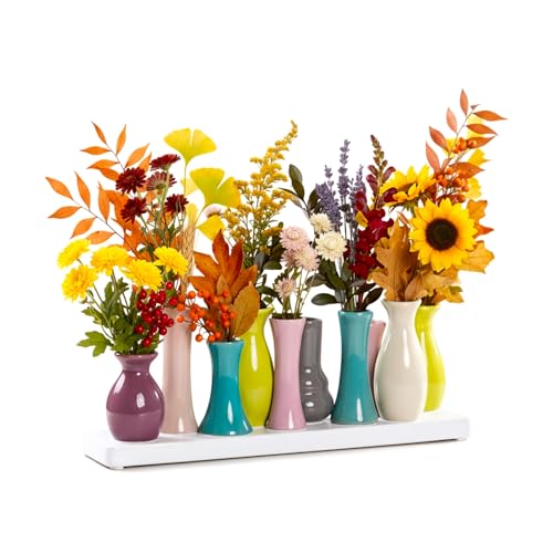 Jinfa | Jarrones Decorativos Modernos en cerámica para Interiores | Multicolor | 30 x 6 x 11 cm | Set de 10 jarrones | Floreros en cerámica para decoración Regalos centros de Mesa Salones