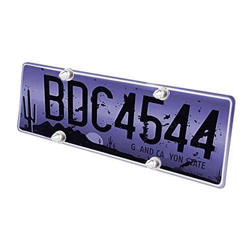 Lunsom License Plate Screws Kit, 4 Pack Spike Fastener Metal Car Tag Screws License Plates Frames Bolt Kit With Nut,Washer, Gasket,Bolt(Silver) #TOP1