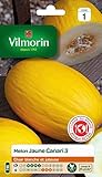 bolsa de semillas Melón Amarillo Canario Vilmorin