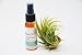 Air Plant Fertilizer Spray with FREE Air Plant / Bromeliads and Orchids / 2oz Spray Bottle