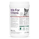 Lab-V Katzenmilch Pulver für Kitten 200g mit Fütterungsflasche und Sauger – Aufzuchtmilch für Babykatzen – Vollmilch-Ersatz für Katzenbabys – Kitten Milch zur Handaufzucht