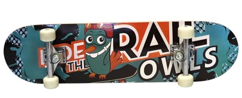 Hikole Skateboard, Komplettboard, Skateboard, Holz, 79 x 20 cm, kanadisches Ahorn, 31 Zoll, Rollen 91 A, für Anfänger, Kinder und Erwachsene