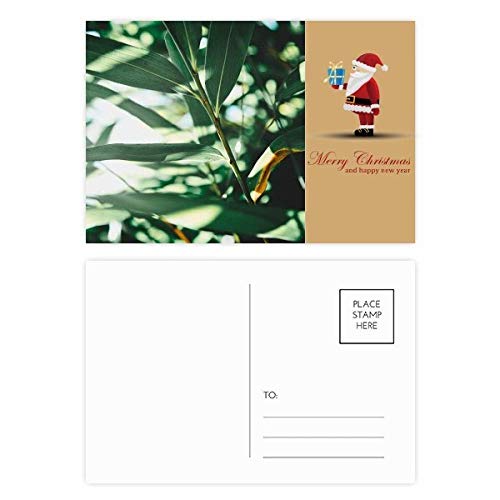 Cartes postales Père Noël Green Leaf Nature pour écrire vos vœux au coin du feu